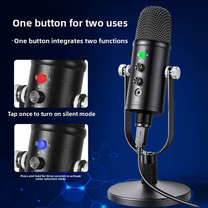 Condenser Microphone