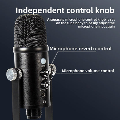 Condenser Microphone