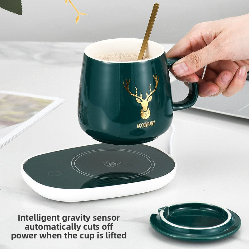 Constant temperature coaster
