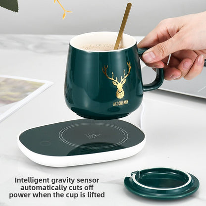 Constant temperature coaster