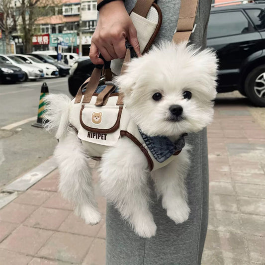 Convertible Pet Carrier Backpack with Leash Attachment