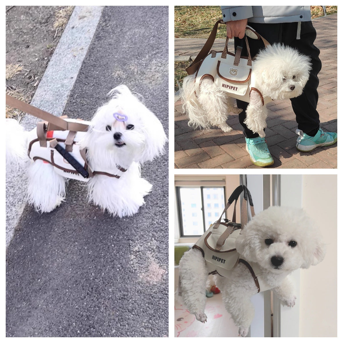 Convertible Pet Carrier Backpack with Leash Attachment