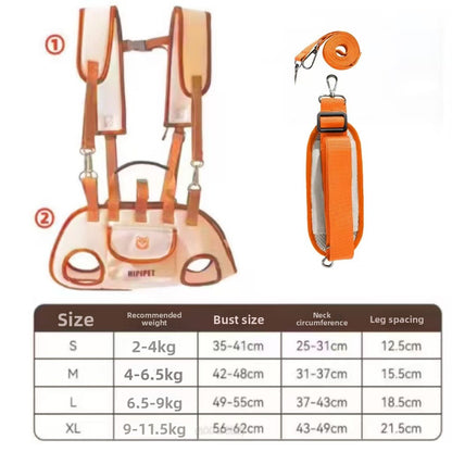 Convertible Pet Carrier Backpack with Leash Attachment