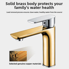 ElectroplatedSilver FlatFaucet 60cm Pair
