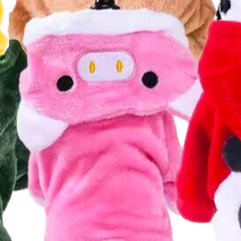 Coral Fleece Pet Costume