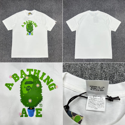 Cotton T-shirt