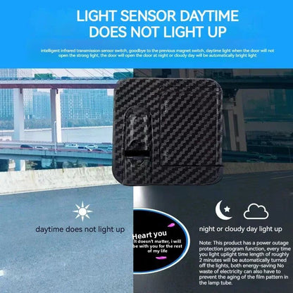 Courtesy door projector