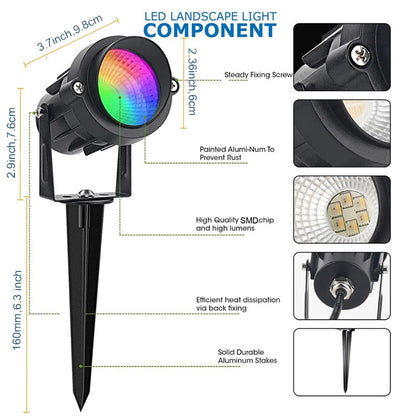 Courtyard landscape lights