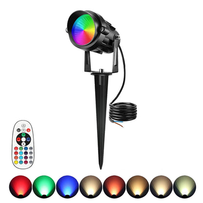 Courtyard landscape lights