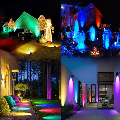 Courtyard landscape lights