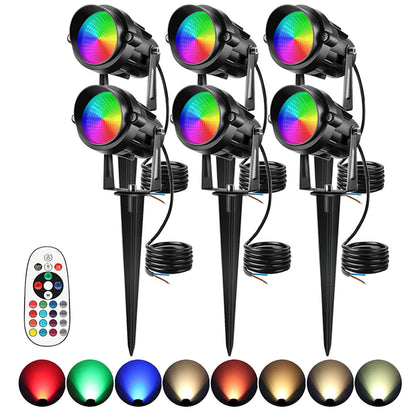 Courtyard landscape lights