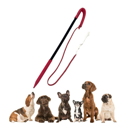 Cowhide Dog Training Whip