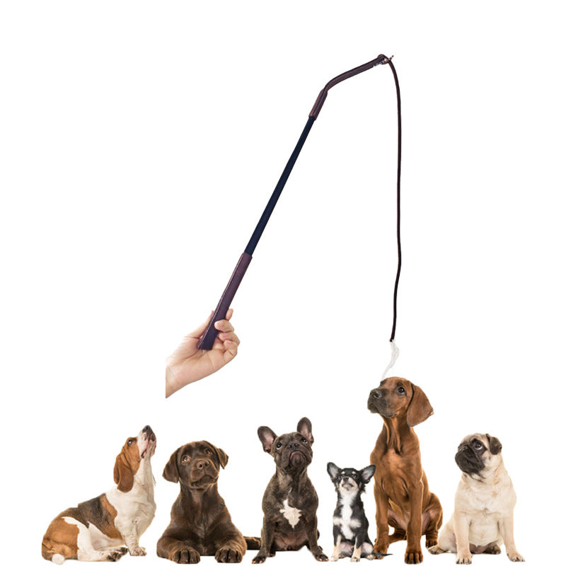 Cowhide Dog Training Whip