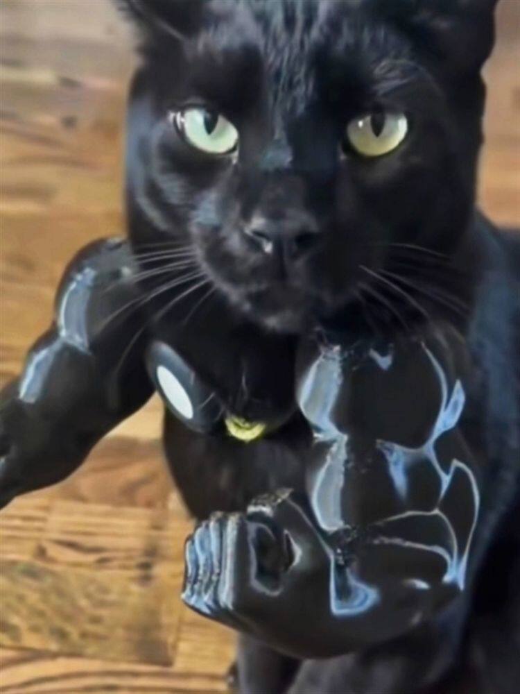 Creative arm-mounted pet prop