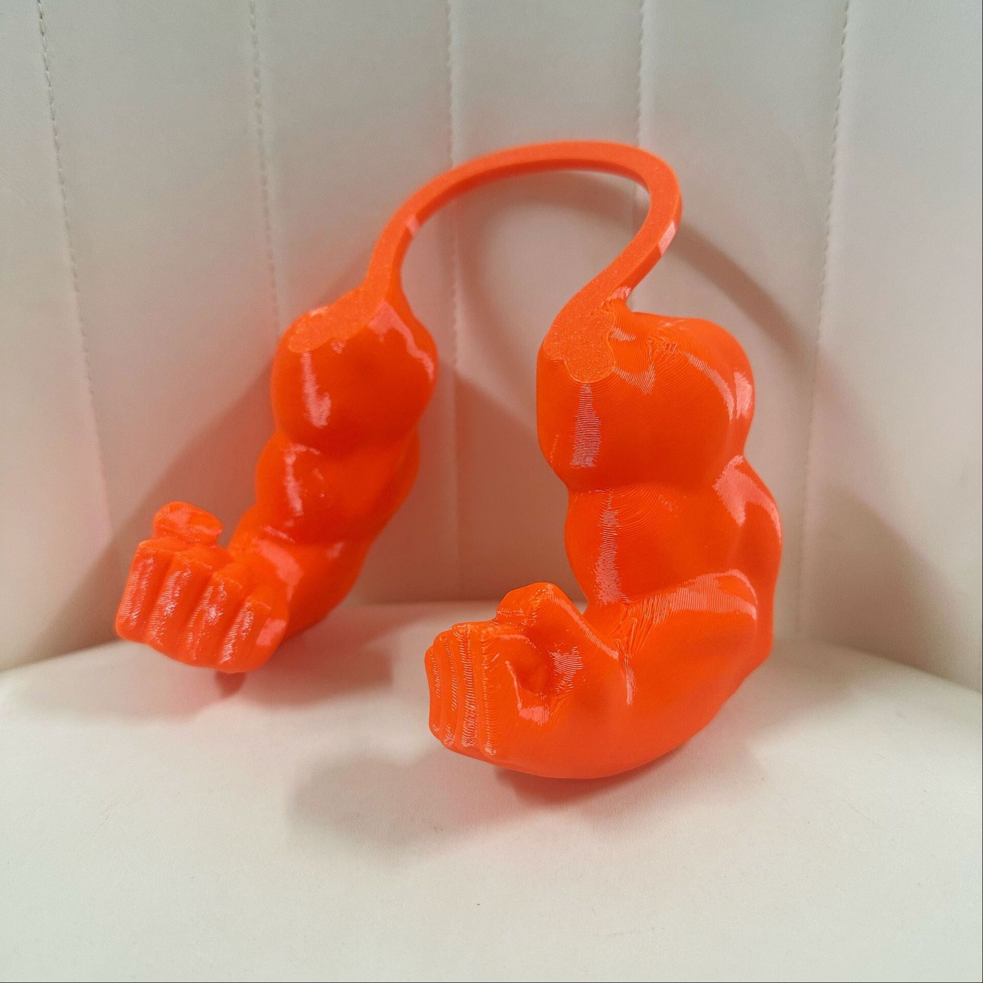 Creative arm-mounted pet prop