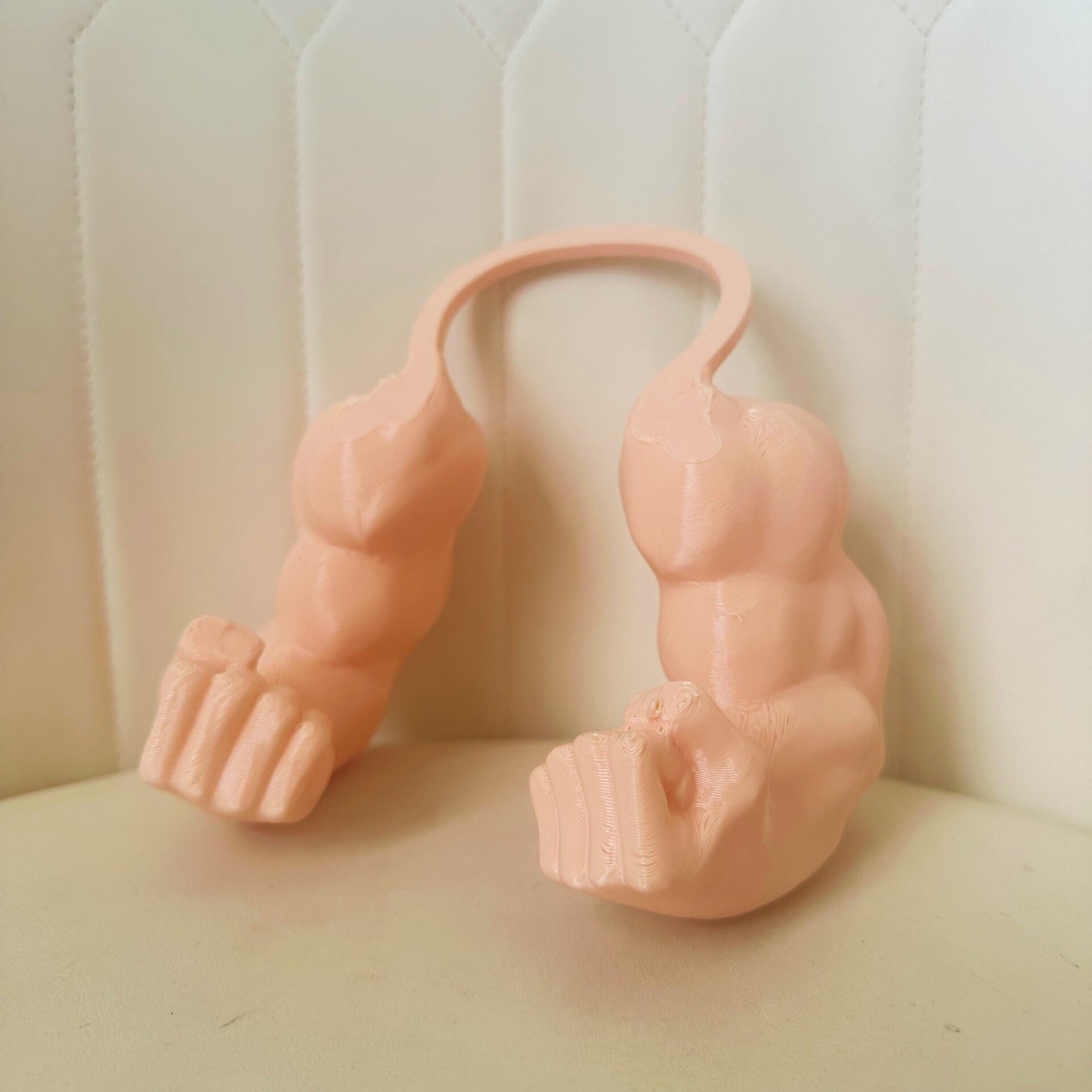Creative arm-mounted pet prop
