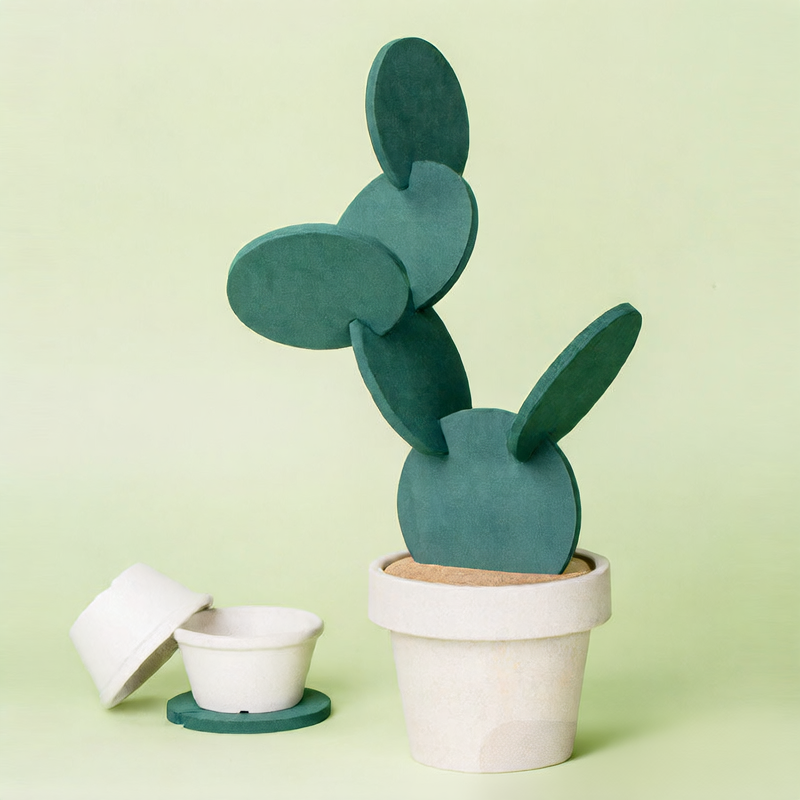 Creative Cactus Coaster Set