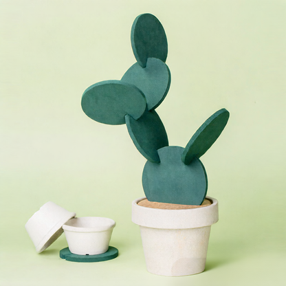 Creative Cactus Coaster Set