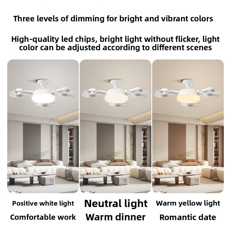 Creative Fan Light