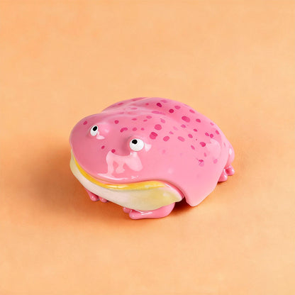 Creative Frog Design Hard Plastic Earphone Case