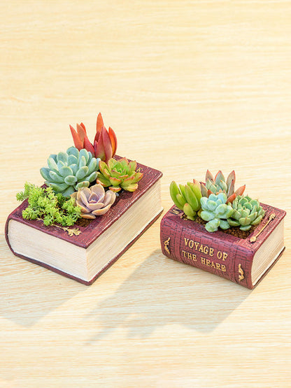 Creative Resin Planter