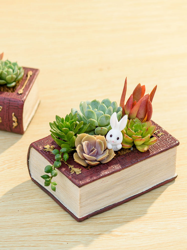Creative Resin Planter