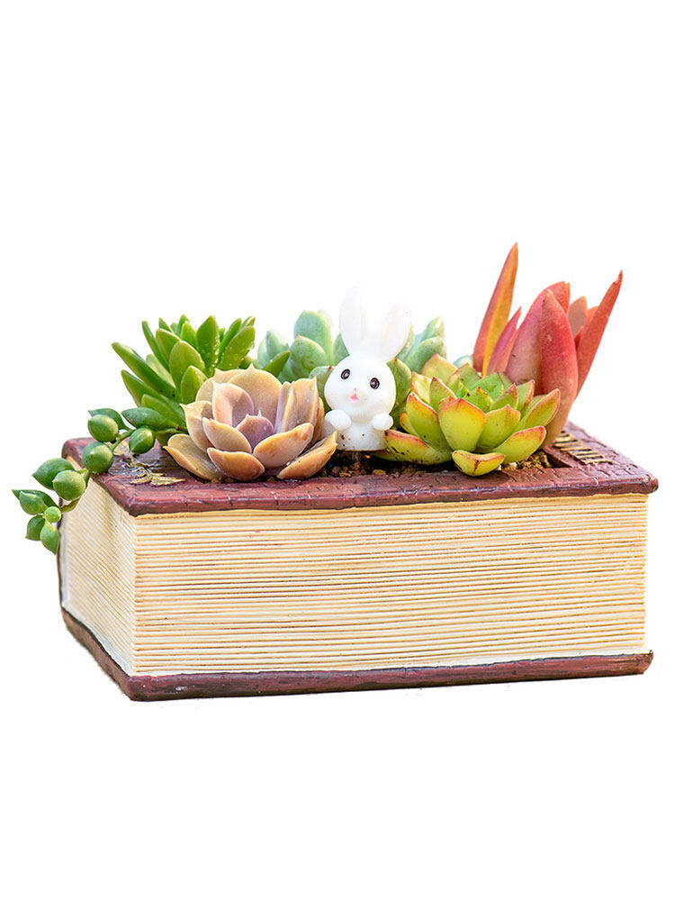 Creative Resin Planter