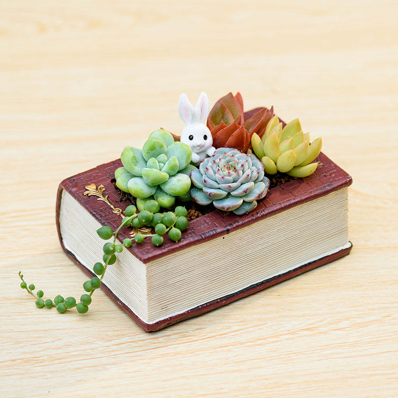 Creative Resin Planter