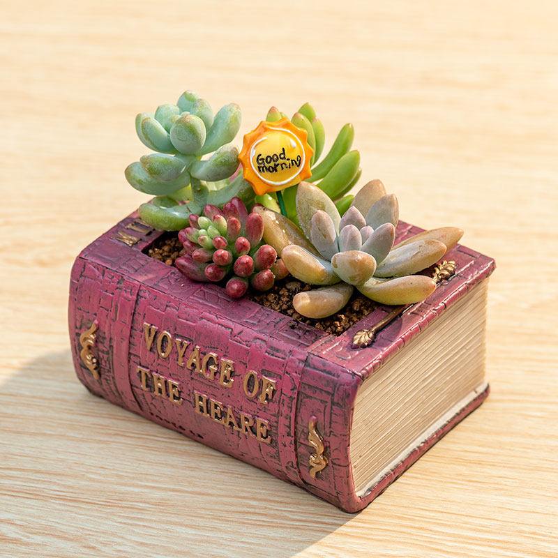 Creative Resin Planter