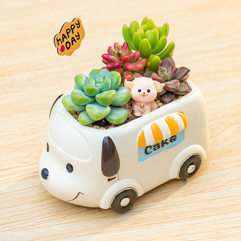 Creative Succulent Flower Pots for Kindergarten Plant Corners, Cute Cartoon Car and Animal Decorations, Gift for Boys
