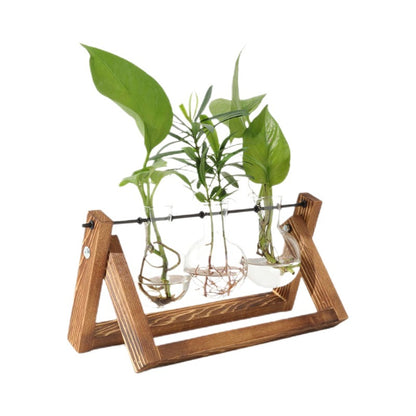 Creative wooden frame hydroponic glass tabletop ornaments