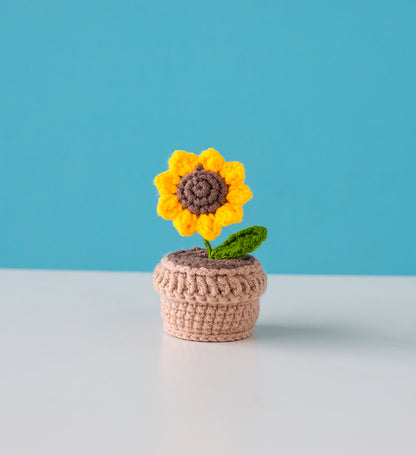 crochet flower kit