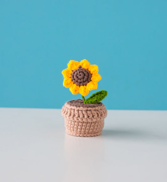crochet flower kit