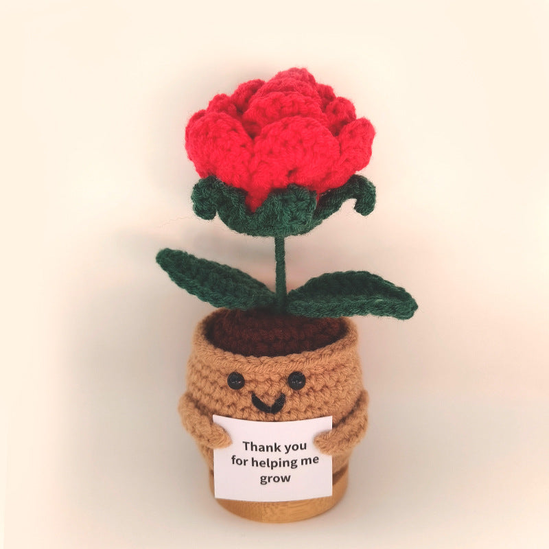 Crochet Ornament Set