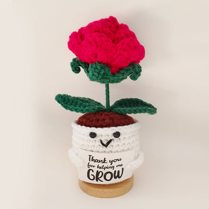Crochet Ornament Set