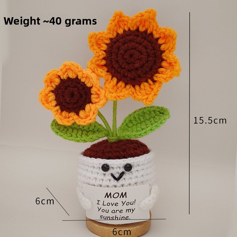 Crochet Ornament Set