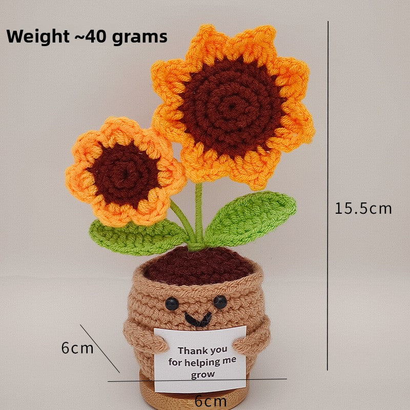 Crochet Ornament Set