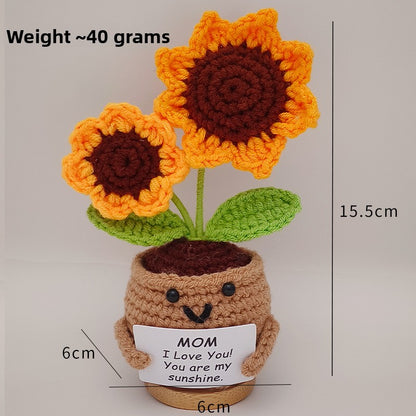 Crochet Ornament Set