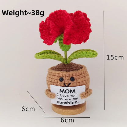 Crochet Ornament Set