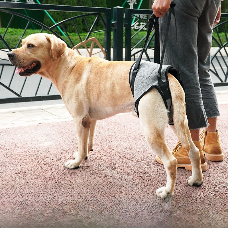 Cross-Border Hot-Selling Dog Harness for Hind Legs, Suitable for Elderly, Disabled, or Injured Dogs, Back-Mounted Traction Belt for Outdoor Use