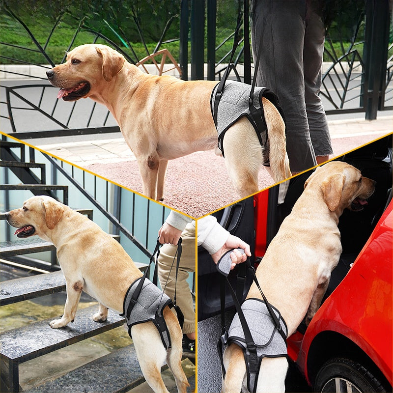 Cross-Border Hot-Selling Dog Harness for Hind Legs, Suitable for Elderly, Disabled, or Injured Dogs, Back-Mounted Traction Belt for Outdoor Use