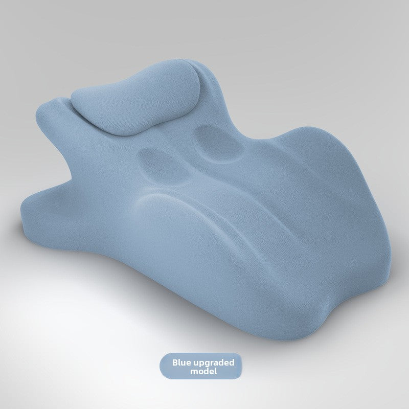 Cushion Pillow