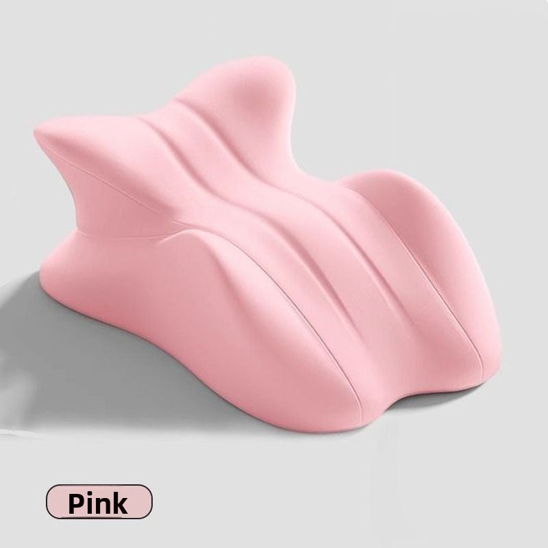 Cushion Pillow