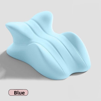 Cushion Pillow