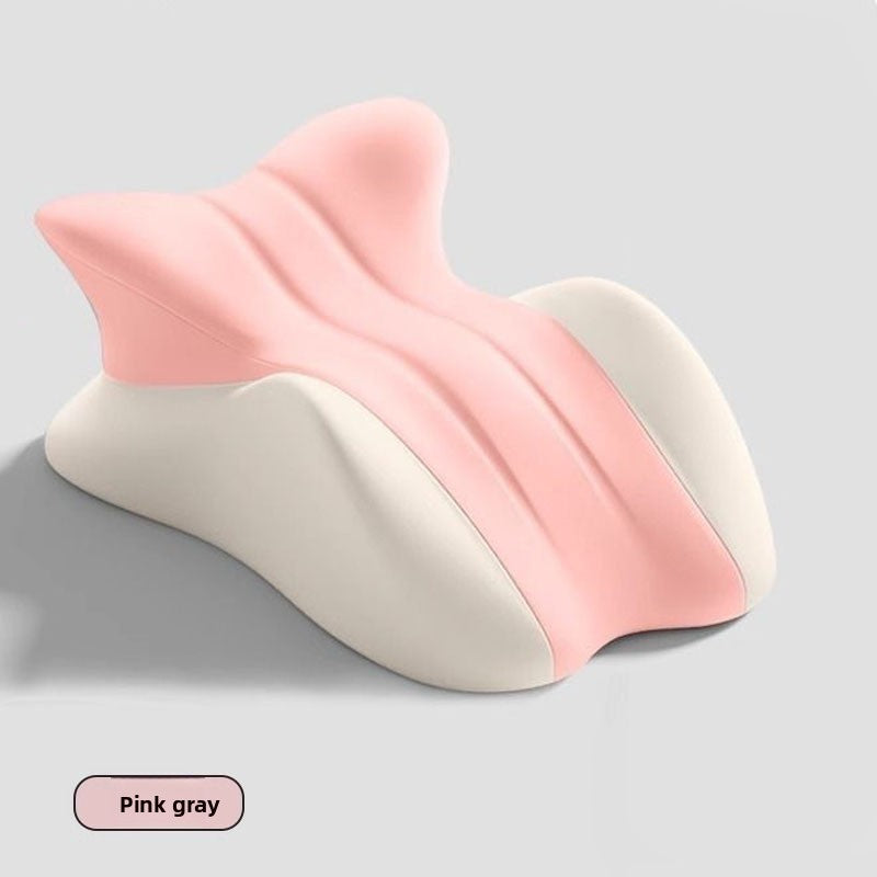 Cushion Pillow