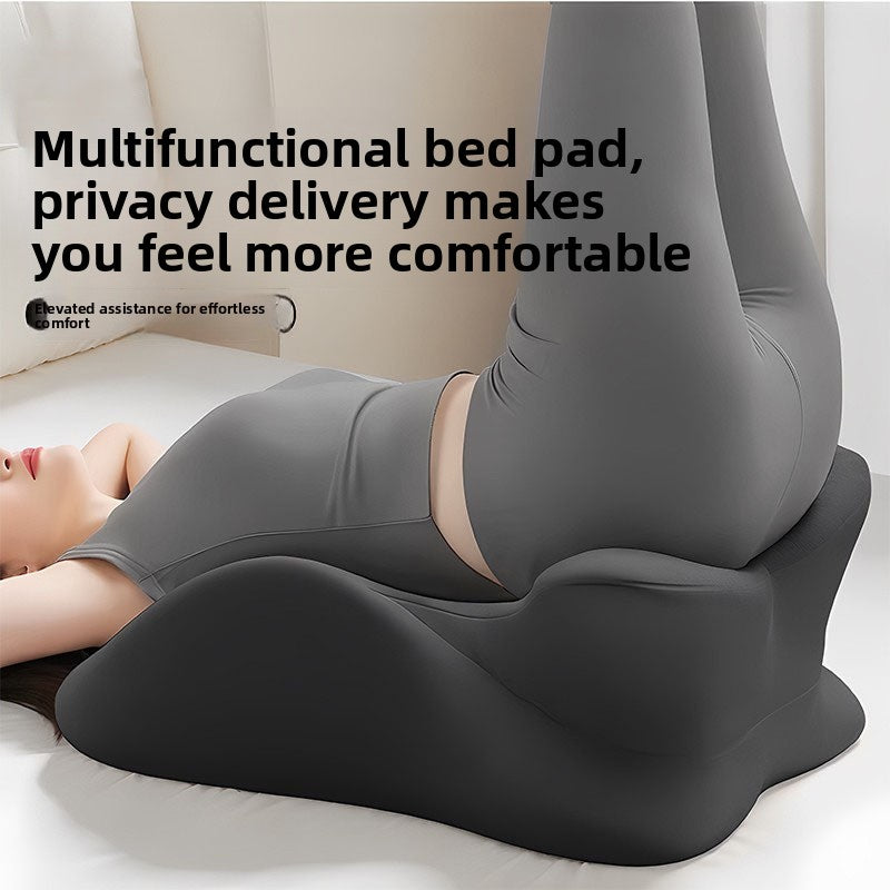 Cushion Pillow