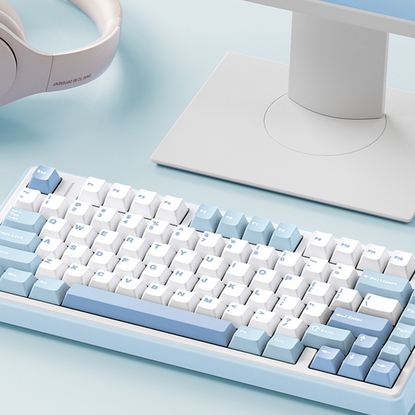 Custom Mechanical Keyboard Gasket Structure Hot-Swappable RGB Backlight