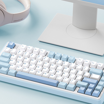 Custom Mechanical Keyboard Gasket Structure Hot-Swappable RGB Backlight