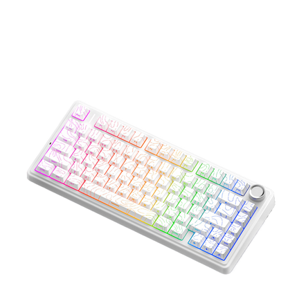 Custom Mechanical Keyboard Gasket Structure Hot-Swappable RGB Backlight