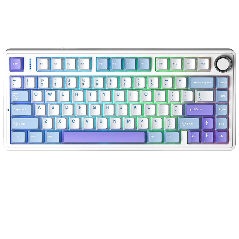 Custom Mechanical Keyboard Gasket Structure Hot-Swappable RGB Backlight